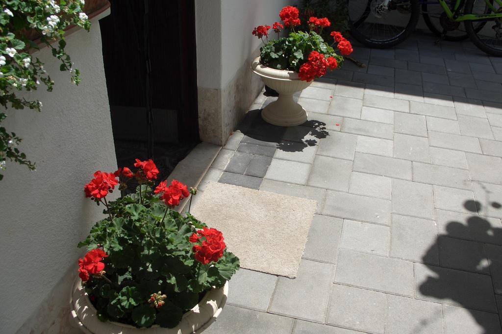 Apartment Vesna Zadar Pokój zdjęcie