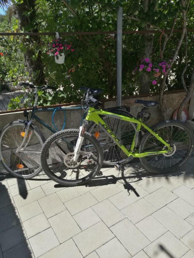 Apartment Vesna Zadar Zewnętrze zdjęcie